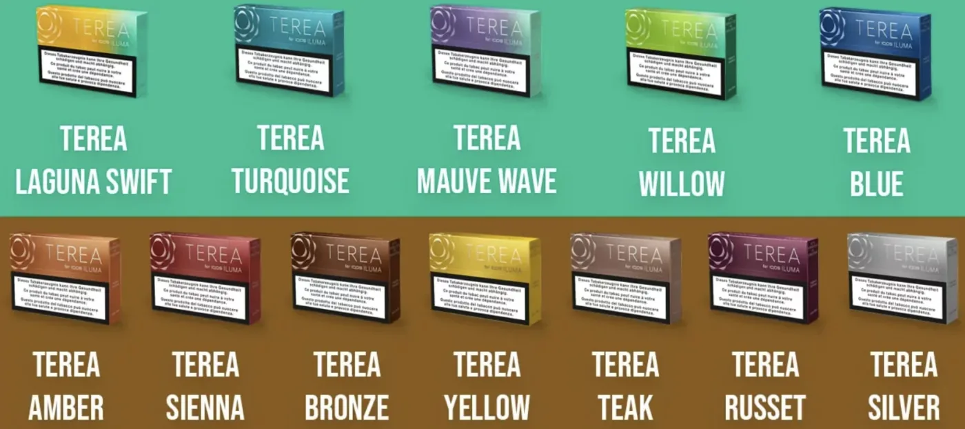 Ekran Resmi 2024-10-12 181713 - Terea