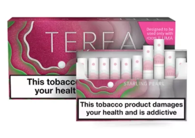 Ekran Resmi 2024-10-30 165416 - Terea